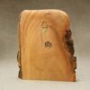 Moojibaba - White Fire ~ Chestnut - Image 3