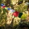 Prayer Flag - Mixed - S - Image 2