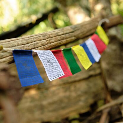 Prayer Flag - Wind Horse - XS - Image 3