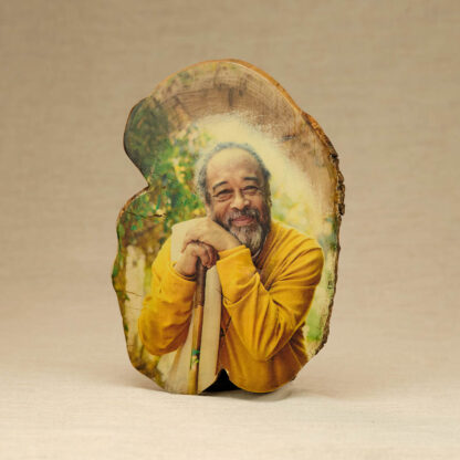 Sun of Jnana — Moojibaba