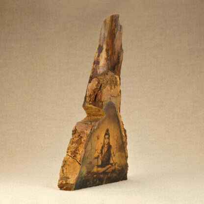 Shiva's Cave - Image 4