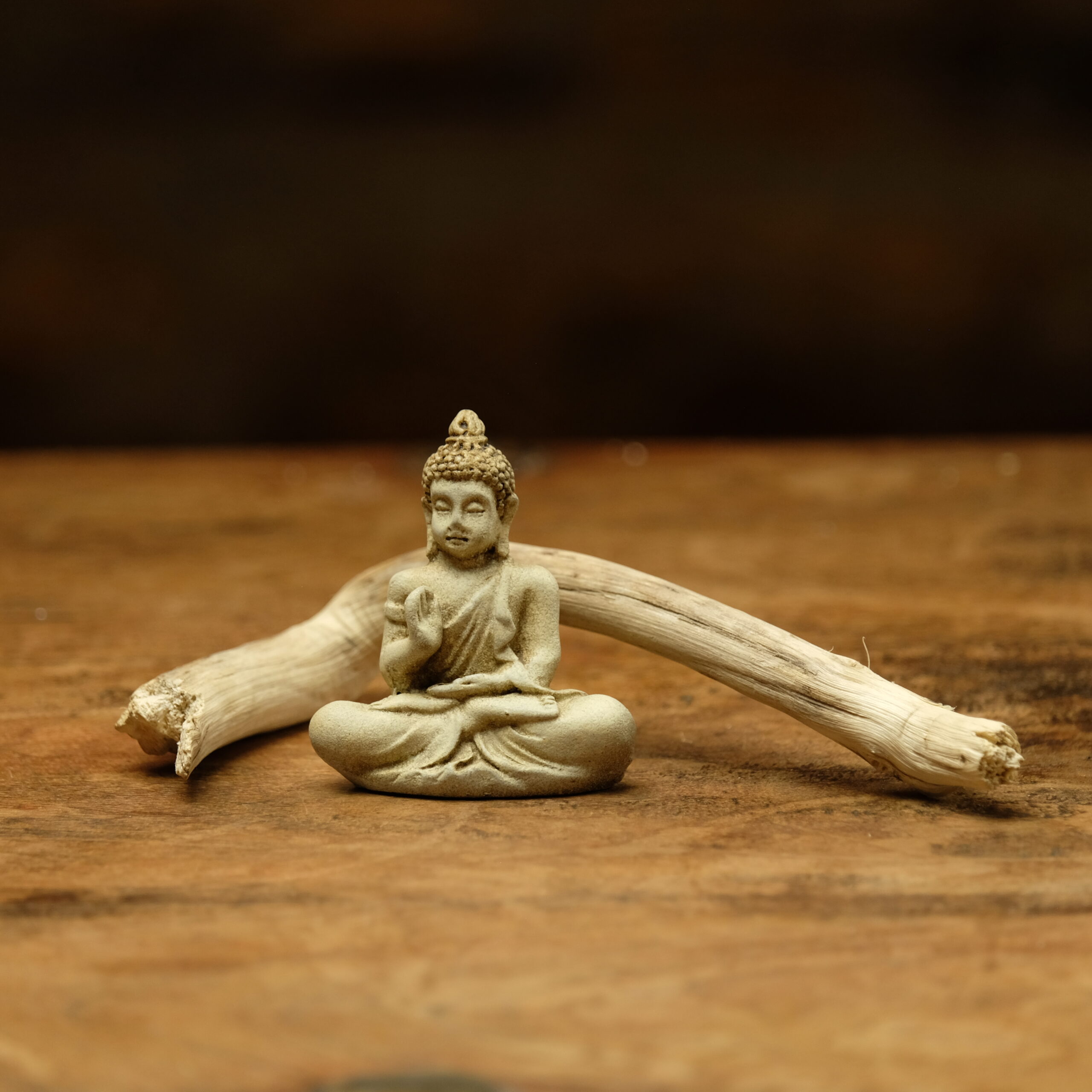 Immutable ~ Siddhartha Gautama