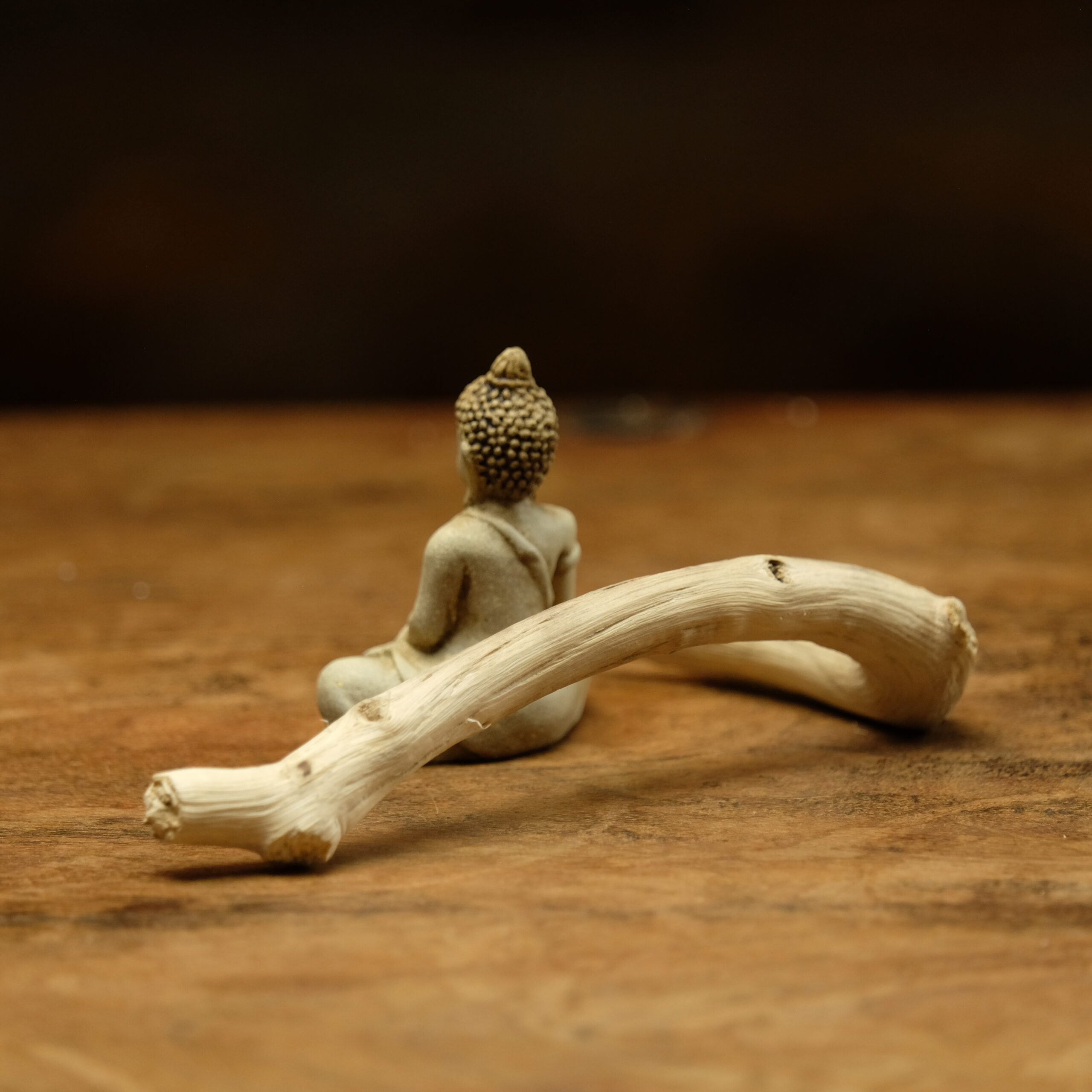 Immutable ~ Siddhartha Gautama - Image 3