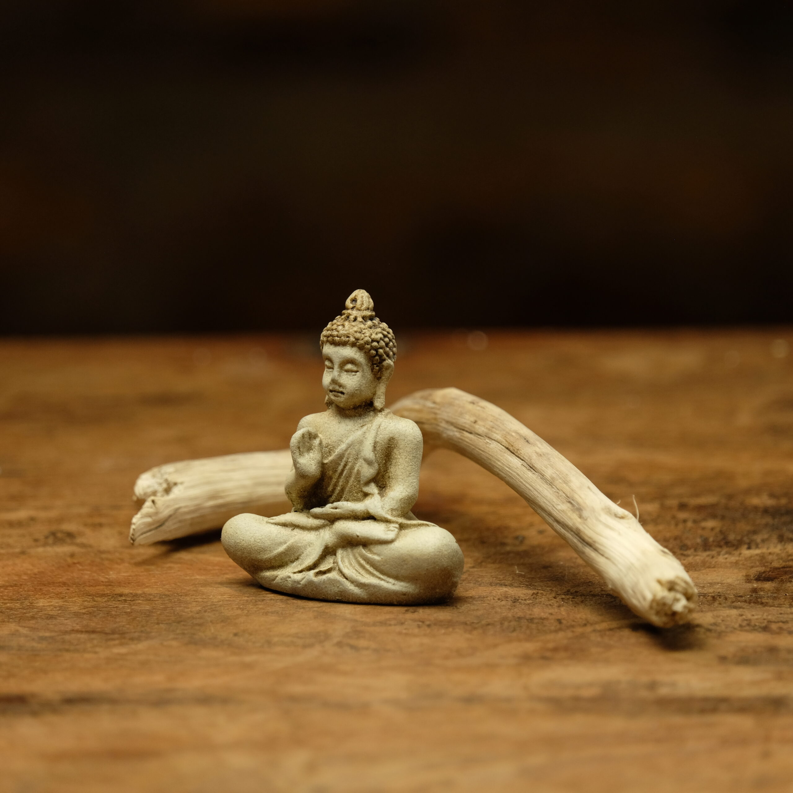 Immutable ~ Siddhartha Gautama - Image 2