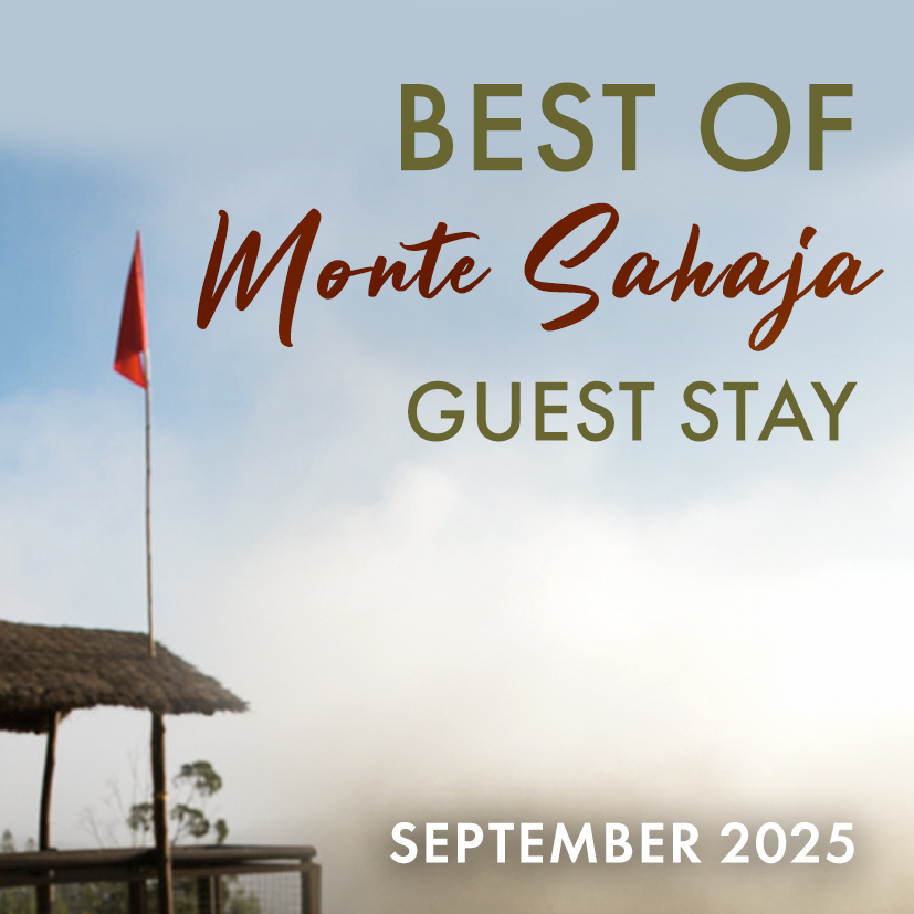 Best of Guest Stay September 2025